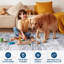Rectangle Abstract Area Rug-1688052438-1693544073