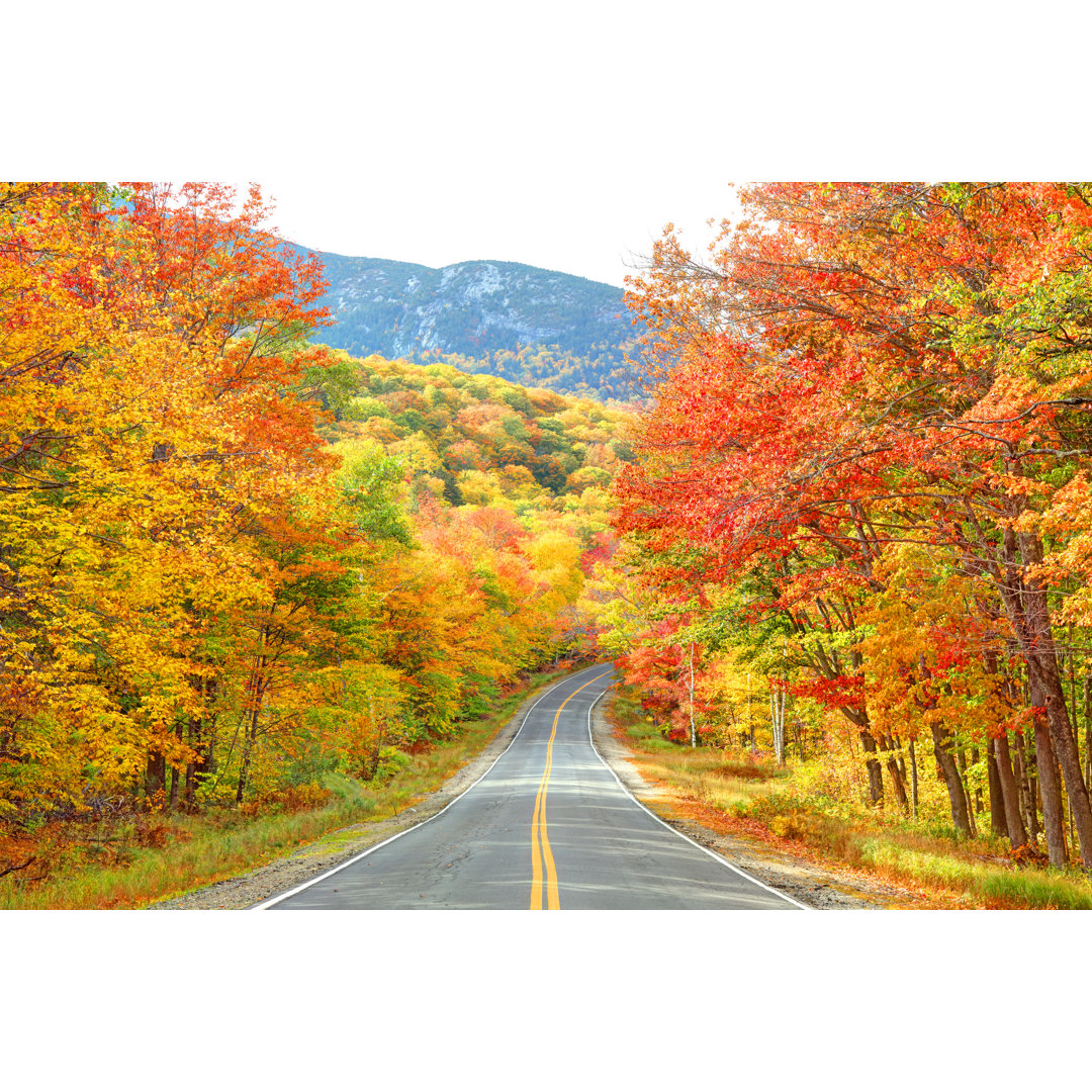 Grafton Notch State Park In Maine von DenisTangneyJr - Druck ohne Rahmen auf Leinwand