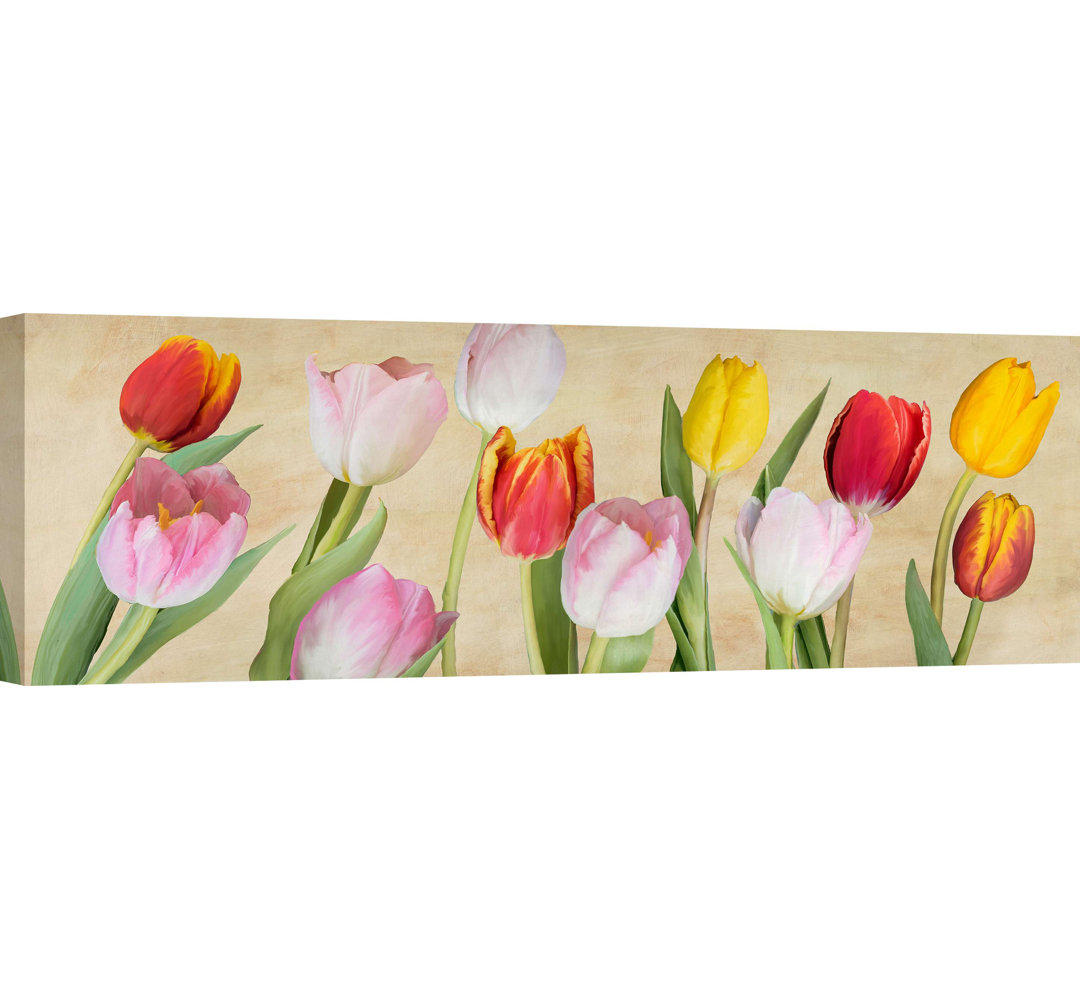 Tulpen - Panorama-Kunstdrucke auf Canvas-Leinwand