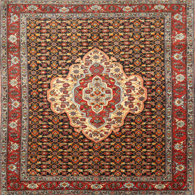 Tobar Oriental Indoor Rug