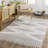 Hrinda Laron Machine Woven Polyester Area Rug in Gray-1748118541