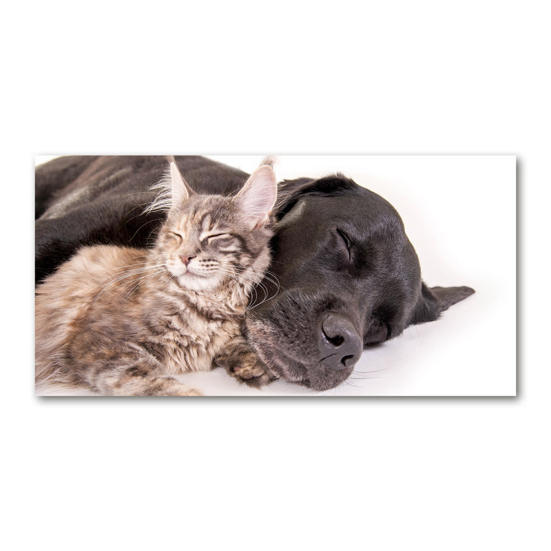 Dog With A Cat - No Frame Print on Canvas