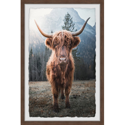 Hug A Cow - Single Picture Frame Print