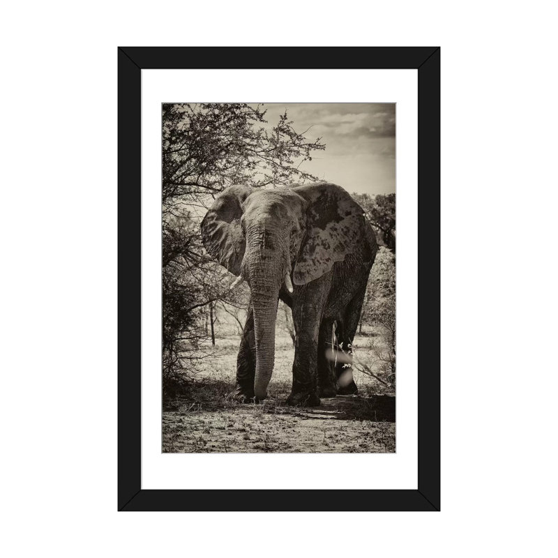 «Awesome South America Series», reproduction de photo verticale sur toile tendue, H 32 po x l 24 po x P 1 po, Blanc