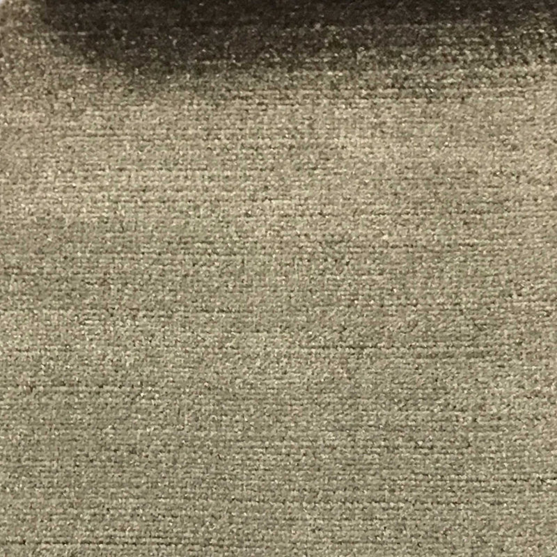 Majestic-Queen Shany Cotton Plain Velvet Fabric, New Mocha