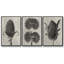 Blossfeldt Botanical IV 3 pièces-97757542-97757548