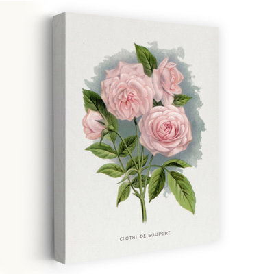 Rose rose, chiffon, Souperte, Lithographie, rétro, romantique, rose, fleur, paysage, art mural