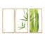 Bamboo Branches in the Forest V - 3 pièces, cadre flottant, impression sur toile-973720723-973720733