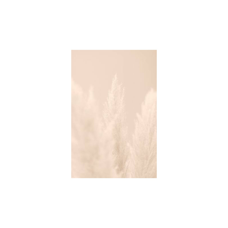 Wrapped Canvas Print, 50.8cm H x 76.2cm W