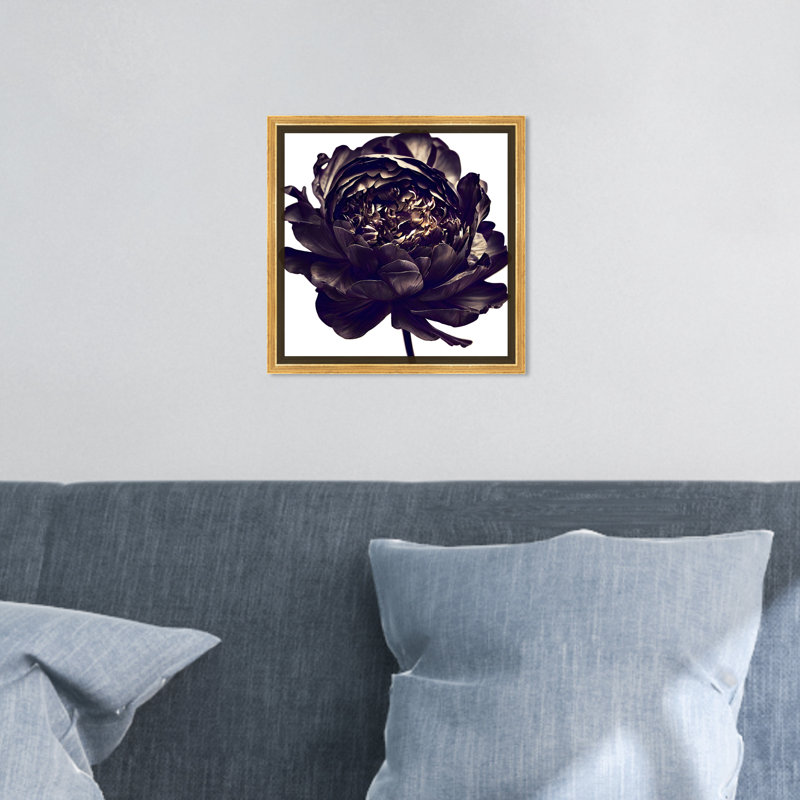 Pivoine noire - Impression sur toile, Encadrement doré, H 13,5 po x l 13,5 po