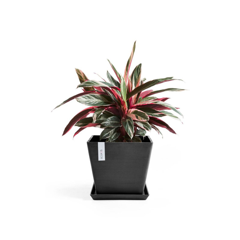 Jardinières en pot, Gris foncé, H 11,81 po x l 11,81 po x P 10,24 po