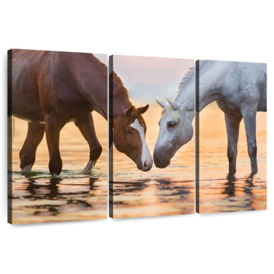 Brown And White Quarter Horse