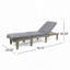 Chaise longue de patio en bois