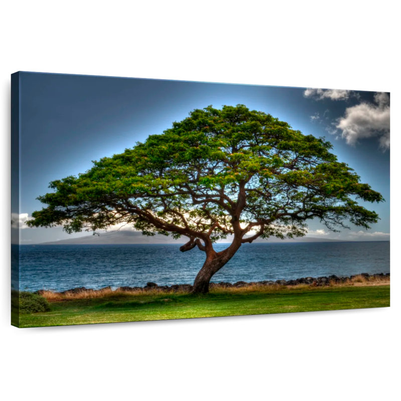 Arbre de vie Harnek Lonely, H 16 po x l 24 po
