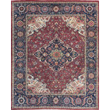 Elegant Wool Oriental Area Rug
