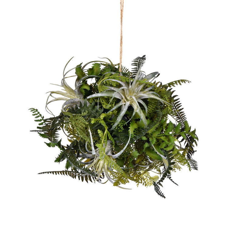 Fern Arrangement