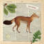Lodge Collage IV, impression sur toile tendue-18882657-74293692-74293693