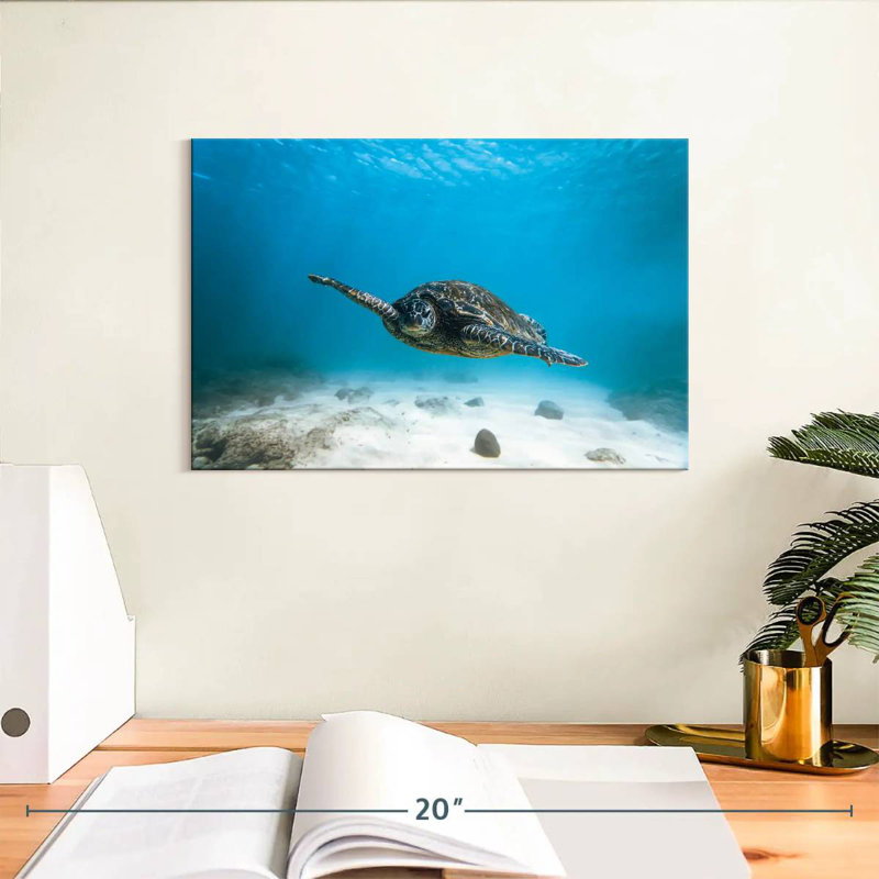 Brampt Blue Turtle, 8" H x 12" W