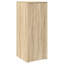 Storage Cabinet-1173481248