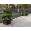 Berenice Handmade Pot Planter-14486350-48478046