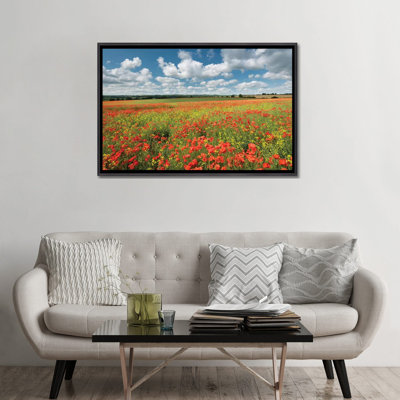 " Colors Of Summer " by Adam Burton