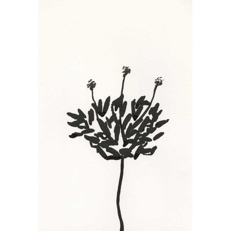 Encre, croquis botanique III, H 48 po x l 32 po x P 1,25 po