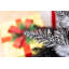 0.79' H Lighted Artificial Christmas Tree