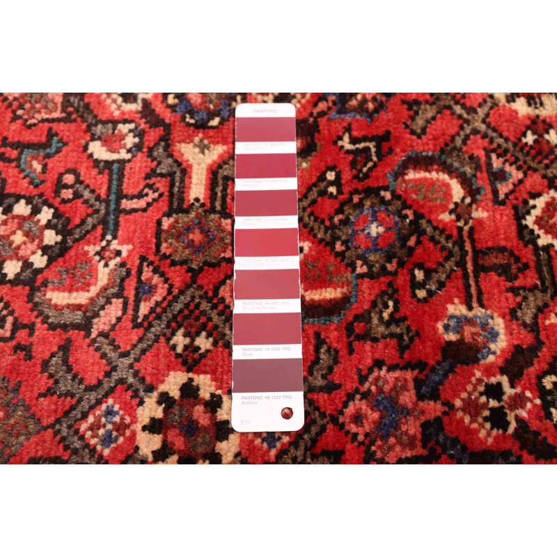 Tapis rouge Andelz 5 pi 4 po x 11 pi 4 po