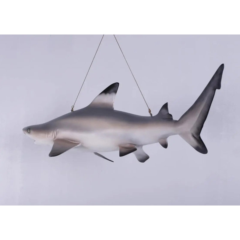 Statue requin à pointe noire