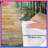Bamboo Forest Pathway Comforter-125233216
