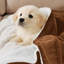Couverture en molleton doux Microplush-631108274-657182191