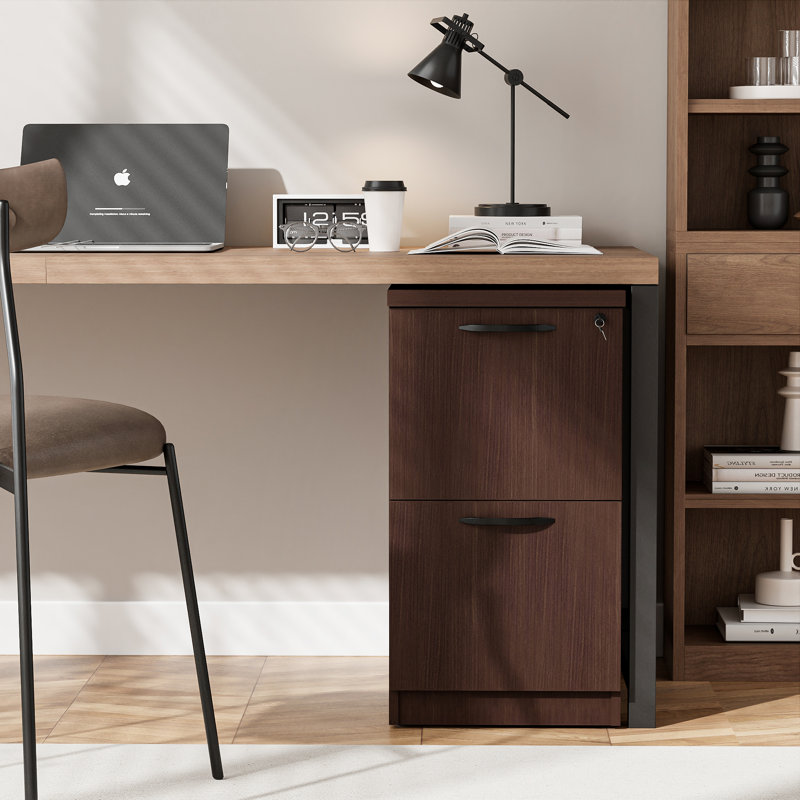 2-Drawer Vertical File Cabinets with Lock (Set of 4), Brown