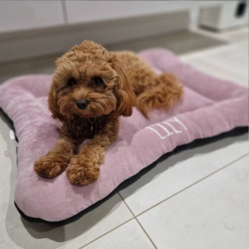 Vera Polyester Pet Bed, 60cm H x 48cm W x 9.5cm D, Navy