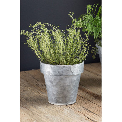 Sanjuana Metal Pot Planter