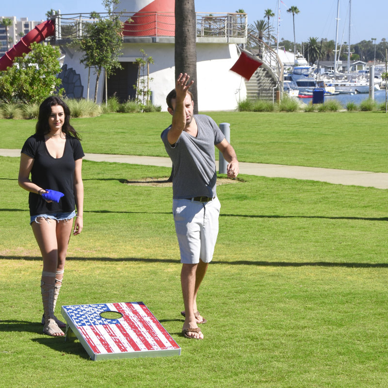 2' x 3' Metal Cornhole Board with Carrying Case