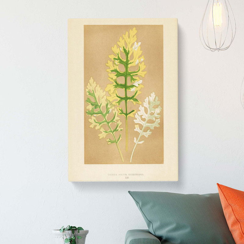 Leaf Illustration by Benjamin Fawcett - Wrapped Canvas Print, 60cm H x 40cm W x 3cm D