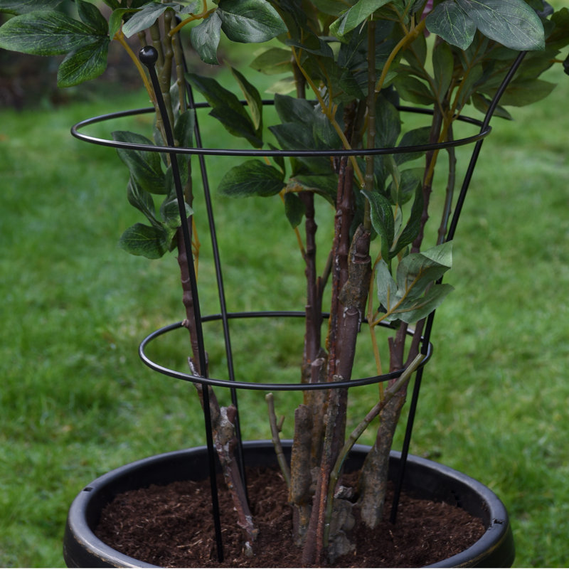 Hileman 45cm H x 35cm W Metal Fan Trellis
