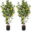 48cm Faux Lemon Plant-199865459