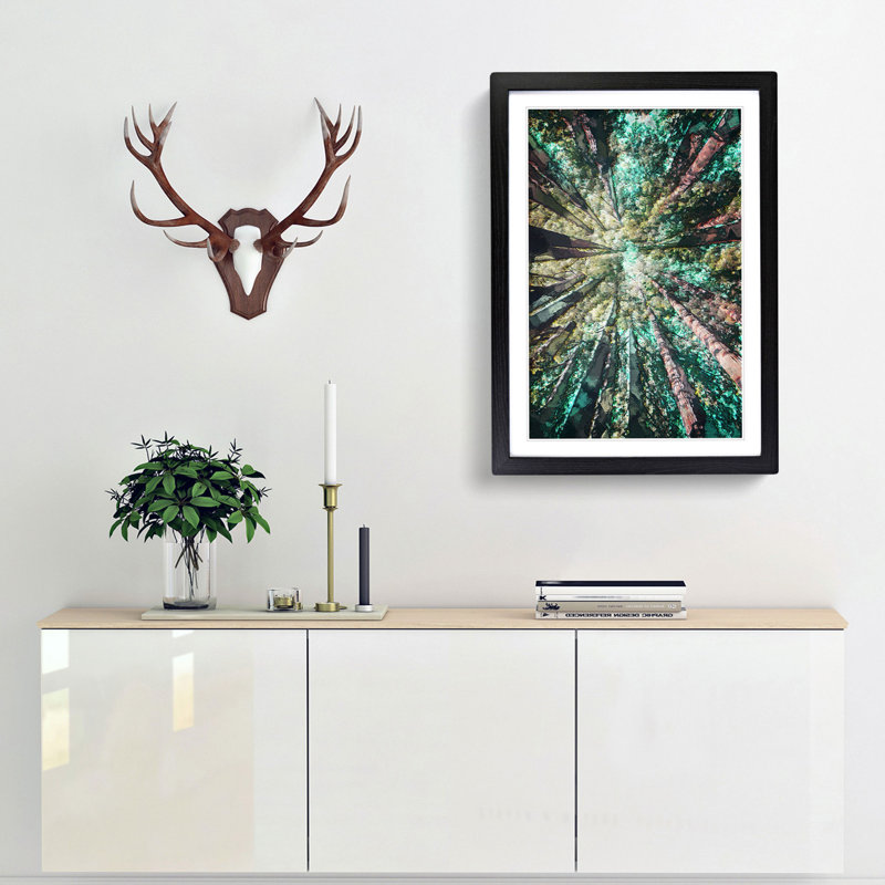 Redwood Trees in California in Abstract - Picture Frame Graphic Art Print, 48cm H x 36cm W x 2cm D, Black Framed