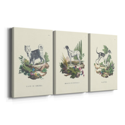 French Dogs IV  -Custom Wrapped Gallery Canvas - 3 Pieces