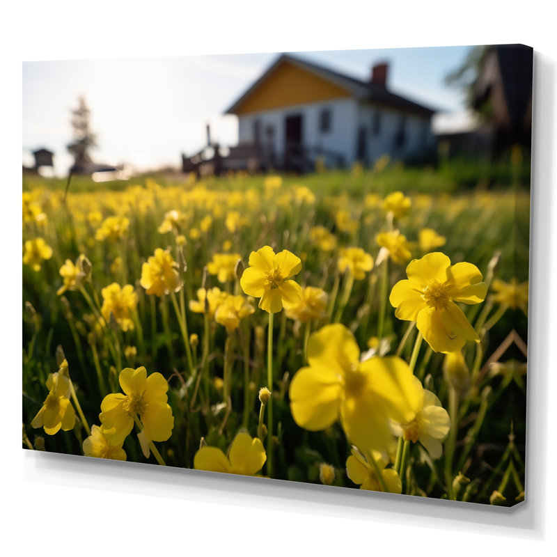 «Yellow Buttercups At The Farm I», reproduction sur toile, H 30 po x l 40 po x P 1,5 po, Toile tendue