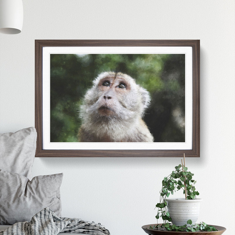 Macaque Monkey - Framed Print, 48cm H x 65cm W x 2cm D, Walnut Framed