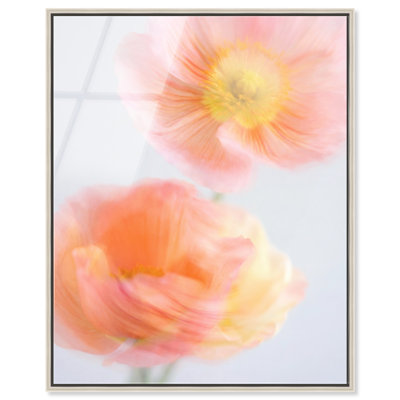 Hazy Camelias Print