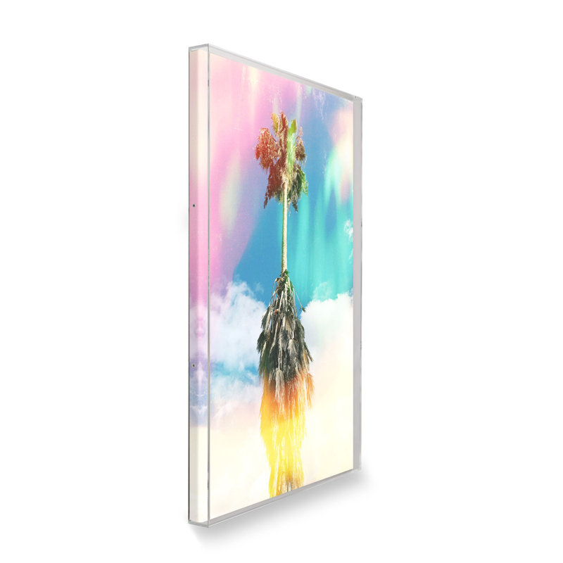 Aurora Palm par Brooke Wilen, Boîte-cadre, H 24 po x l 36 po