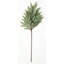 Pine and Pine Cone Spray
