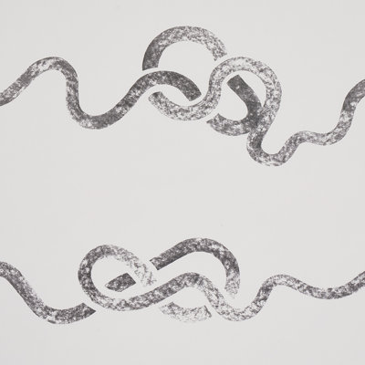 Papier peint Schumacher x Backdrop Rhapsody