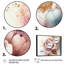 Rose et or rose II - Art mural encadré rose-601967706-601967704