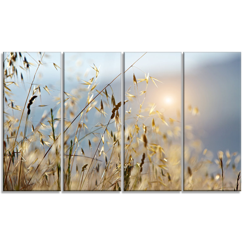 Golden Wheat Field Sunrise Canvas Print, 48" x 28"