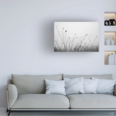 Art sur toile Aledanda