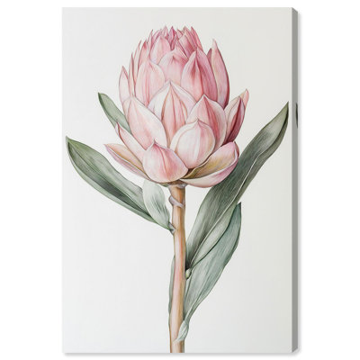 «Rosy Flowering II Floral Decor», reproduction d'art sur toile par Art Remedy